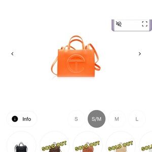Orange Handbag